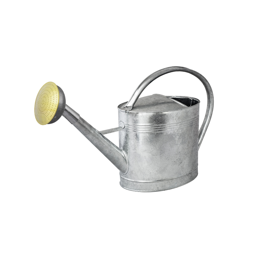 Arrosoir en métal 