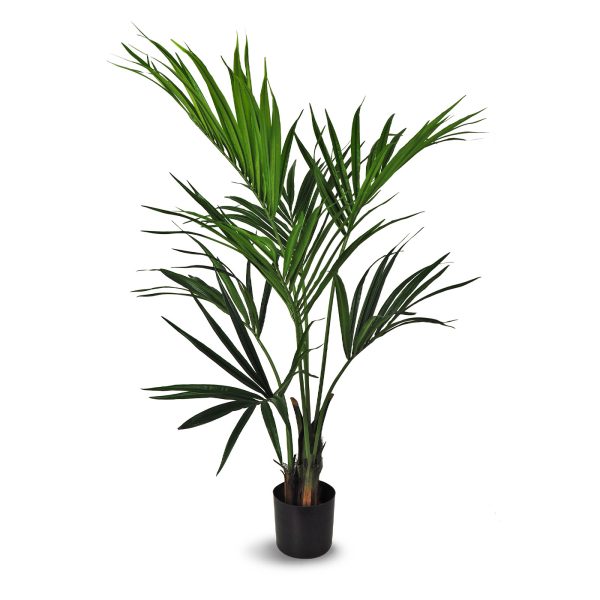 Kentia artificiels