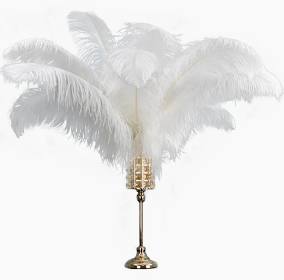 Plume d'autruche 
