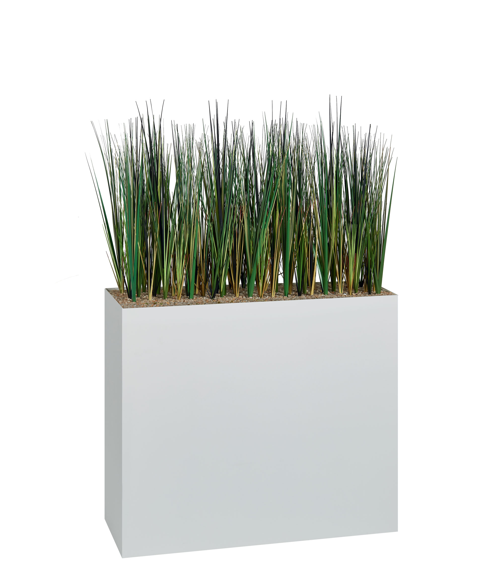 Herbe haute en pot
